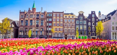 Dutch Desk Mazars tulips Netherlands